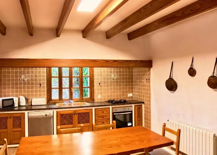 Les Palmeres-lleida *